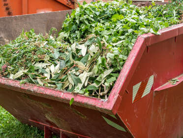 Ramassage des déchets verts à domicile