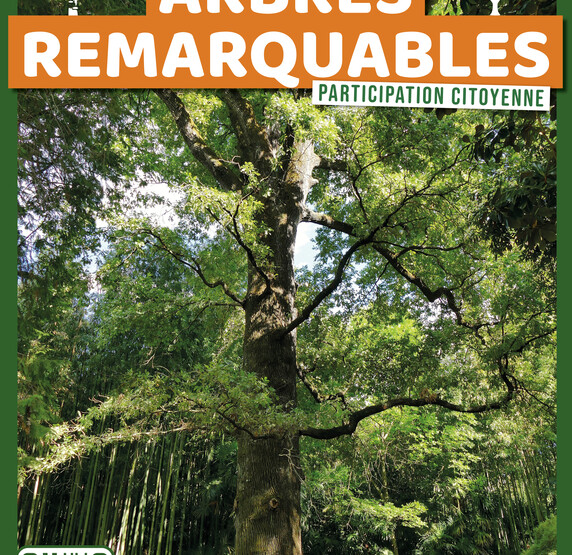 Participation citoyenne : repérage des arbres remarquables