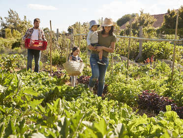 Un jardin à se partager !