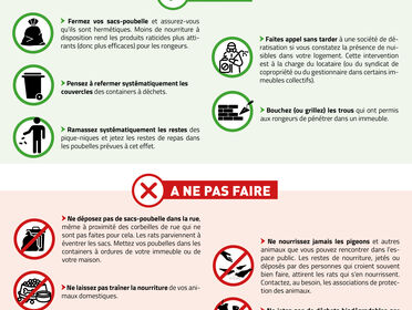 Campagne de dératisation