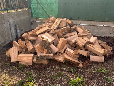 Reprise de l'opération "Bois solidaire" 