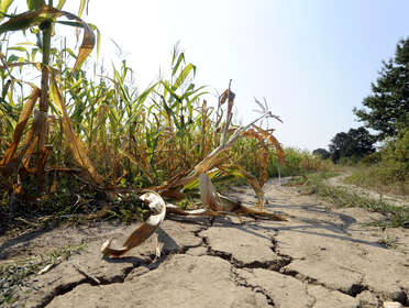 Triel reconnue en état de catastrophe naturelle