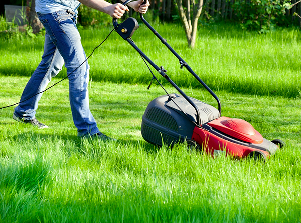 Horaires travaux jardinage